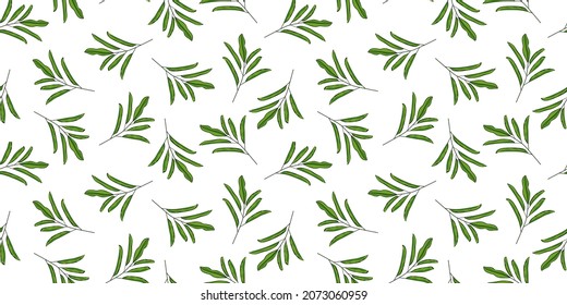 Green jungle leaves seamless pattern. Tropical wallpaper, organic branch seamless. Exotic hawaiian backdrop. Floral background. Botanical foliage plants. Design for fabric, textile print, wrapping