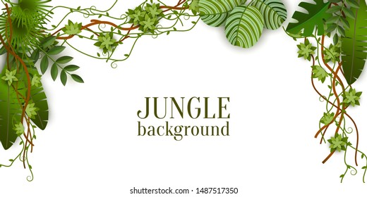 Green jungle plants background hanging from above, tropical exotic palm leaves and liana branches - isolated text template with blank space - realistic border vector illustration