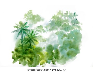 Green jungle trees vector