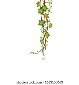 Green jungle vine climbing down with entwined branches with flowers and tendril. Nature forest frame decoration in vertical line isolated on white background - vector illustration