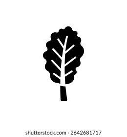 Green Kale Leaf with Curly Edges on White Background