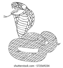 green king cobra with fangs coloring vector illustration