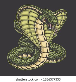 Green king cobra snake template in vintage style on dark background isolated vector illustration