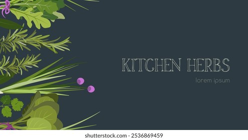 Green kitchen herbs banner template vector flat illustration on dark background. Rosemary, coriander, basil, parsley, arugula, spinach. Graphic elements for cook book design, menu and recipe sheets