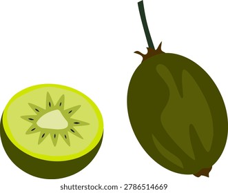 green kiwi fruit vector and kiwi slices isolated on transparent background