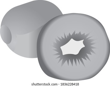 Green kiwi. Grayscale image of food. Vector illustration isolated on white background.