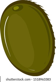 Kiwi verde, ilustración, vector sobre fondo blanco.