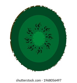 Green kiwi textured element on white background. Isolated stock vector illustration. Sliced kiwi fruit.