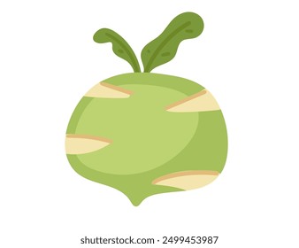 Green kohlrabi cabbage. Suitable for organic farming, healthy eating visuals, and vegetable market ads. Ripe vegetable plant with leaves. Vector illustration isolated on white background.