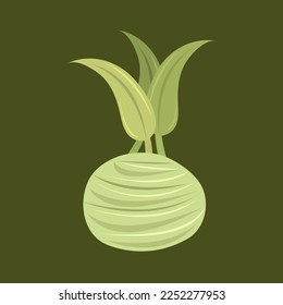Ilustración vectorial plana kohlrabi verde. Ilustración vectorial de la caricatura cohlrabi de verduras de cultivo fino para diseño gráfico y elemento decorativo