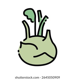 Green kohlrabi vegetable with leaves. Vector illustration. Healthy food and vegetable concept for design and print