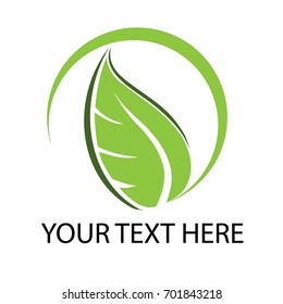 Green labels concept with leaves,vector illustration. green leaf logotype luxury and modern.