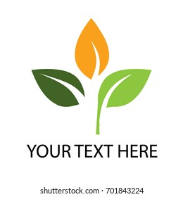 Green labels concept with leaves,vector illustration. green leaf logotype luxury and modern.