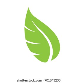 Green labels concept with leaves,vector illustration. green leaf logotype luxury and modern.