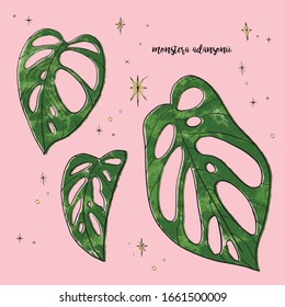 Green Lace-like Monstera Adansonii leaves of various sizes in a quirky offset retro print illustration style with star accents on a pink background