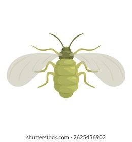 Green lacewing insect is spreading its wings preparing to fly