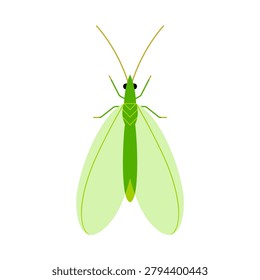 Green Lacewing Insect Vector Illustration Isolated on White Background