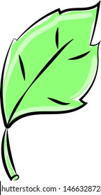 Escala verde, ilustración, vector sobre fondo blanco.