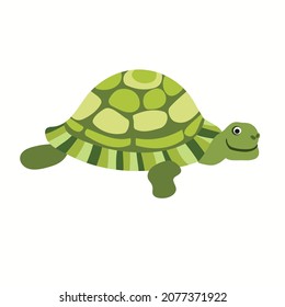 Green land turtle. Cartoon, white background.