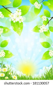 Green Landscape with  Flowers Grass and Clouds