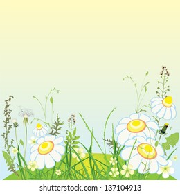Green landscape, flowers and grass meadow, vector illustration