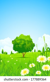 Green Landscape with  Flowers Trees and Clouds