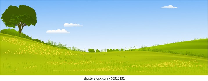 Green landscape with lonely tree