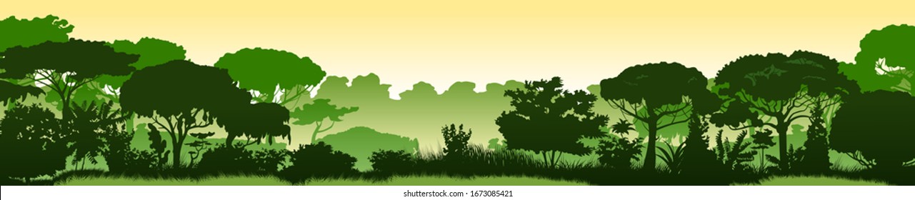 Green Landscape Of Rainforest, Jungle Thickets. Horizontal Background. Scenery Silhouette. Dense Trees, Lush Spring, Summer Grass. Morning Or Afternoon. Foggy Distance. Vector Illustration.