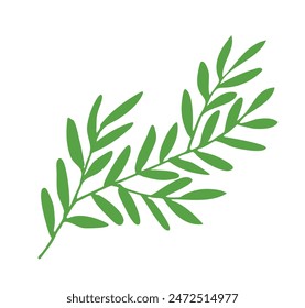 green laurel, olive branch Trendy simple botanical element wild, garden plants, branches, leaves, flowers, herbs. illustration for logo or tattoo, invitation, save the date, card, poster, menu, banner