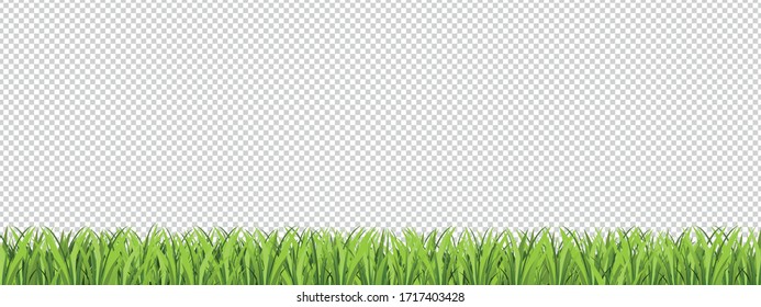 Green Lawn Area Isolated On Transparent Background - Vector Illustration With Copy Space