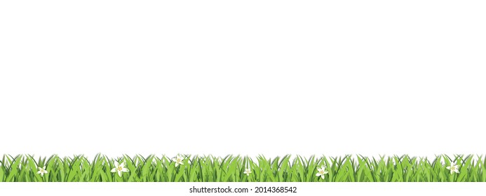Green Lawn Area Isolated On White Background - Vector Illustration With Copy Space
