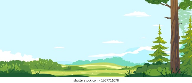 Green lawn with bushes in sunny day near spruce forest, Europe nature landscape background, hiking travel concept illustration background