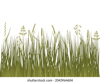 Green lawn grass with grasses and sedge