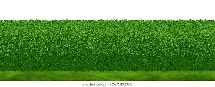 Green lawn with a hedge of boxwood bushes. Seamless background with evergreen shrub and lawn. Vector illustration with leaf texture