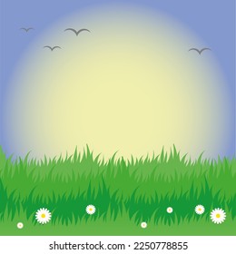green lawn on a sunny day vector illustration