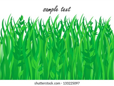 Green Lawn Pattern, Vector Version