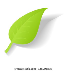 single green leaves clipart