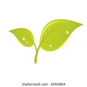 Green leaf