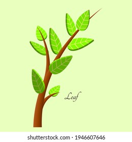 Green leaf 3D relaistic icons eco environment or bio ecology vector symbols. Composition of 3D stylized leaves