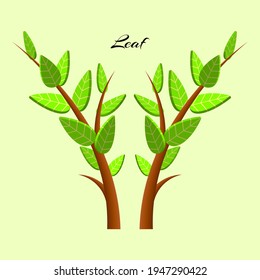 Green leaf 3D relaistic icons eco environment or bio ecology vector symbols. Composition of 3D stylized leaves