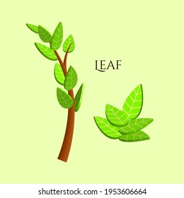 Green leaf 3D relaistic icons eco environment or bio ecology vector symbols. Composition of 3D stylized leaves