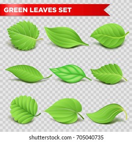 Green leaf 3d relaistic icons eco environment or bio ecology vector symbols