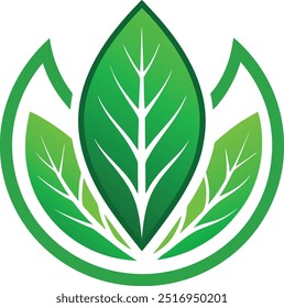 green leaf abstract beauty logo.
