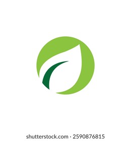 green leaf abstract beauty logo
