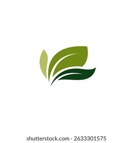 green leaf abstract beauty logo design. leaf organic icon