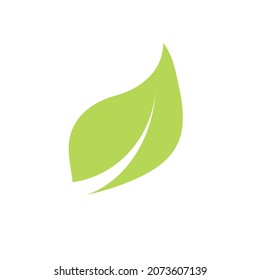 Green leaf abstract graphic design.