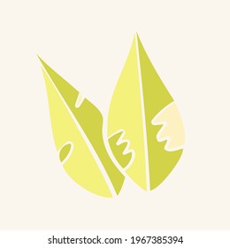 Green leaf abstract leaves print vector. Plant leaf poster in Scandinavian style. Contemporary minimalistic wall art. Modern organic eco design. Isolated on natural background