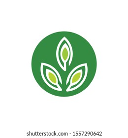 green leaf abstract logo design vector
