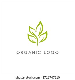 Concepto de logotipo natural abstracto de hoja verde