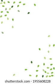 Green Leaf Abstract Vector Plant. Fly Greens Pattern. Mint Leaves Ecology Branch. Foliage Fresh Design.